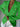 2d88fb01aaea41669e48b5e700017b86-Max-Origin