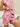 4e135ebe-8b38-4809-bc82-673bc87b10c9-Max-Origin