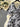 8e0e7f0c-c26f-4daf-a69e-a389ce42ccc9-Max-Origin
