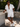 Men's Full Size Button Up Short Sleeve Shirt and Shorts Plus Size