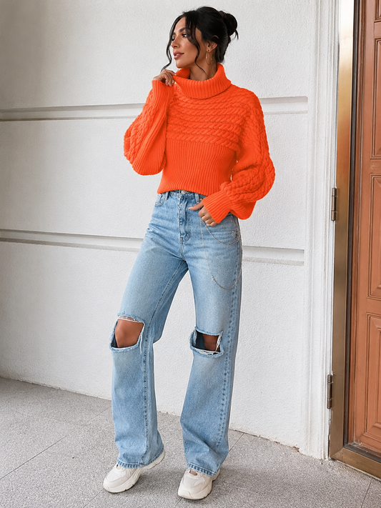 Textured Knit Turtleneck Long Sleeve Sweater