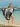 b4f8dafc-5790-4943-938d-3cb84e75d28f-Max