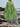 d36a82d3-dfe2-4b44-acca-e7013ac31378-Max-Origin