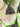 fd9feaaf4aca410ea0cbed86f1d99c81-Max